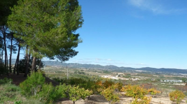 Валенсия - Albaida - 37440m2