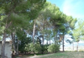 Casa de camp amb terreny en venda a la España, Albaida, ref.: TR318210 foto