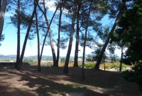 Foto 17