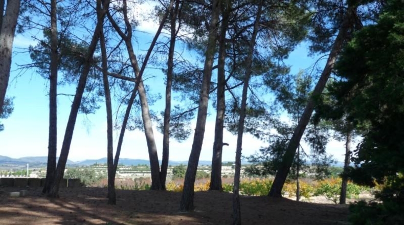 Валенсия - Albaida - 37440m2