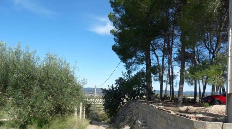 Валенсия - Albaida - 37440m2