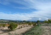 Casa de camp amb terreny en venda a la España, Albaida, ref.: TR318210 foto
