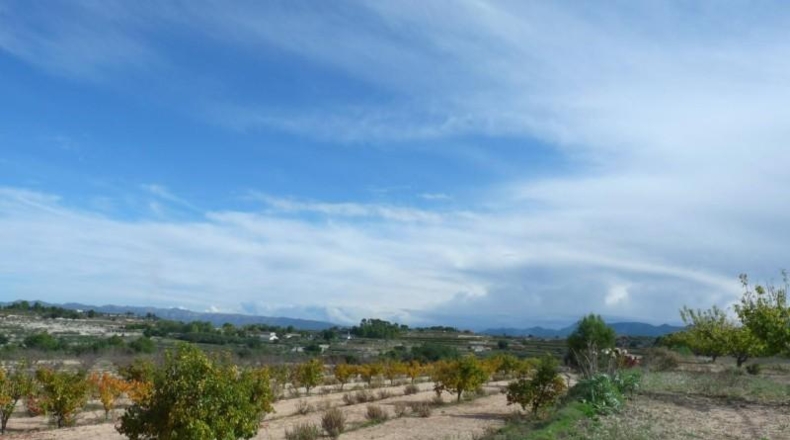 Валенсия - Albaida - 37440m2