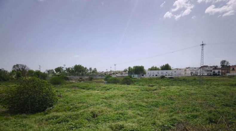 Cádiz - Arcos de la Frontera - 22558m2