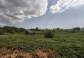 Parcela urbanizable en venta en la España, Arcos de la Frontera, ref: TR403879 foto