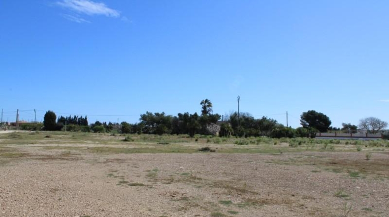 Tarragona - l'Aldea - 12844m2
