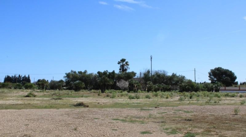 Tarragona - l'Aldea - 12844m2