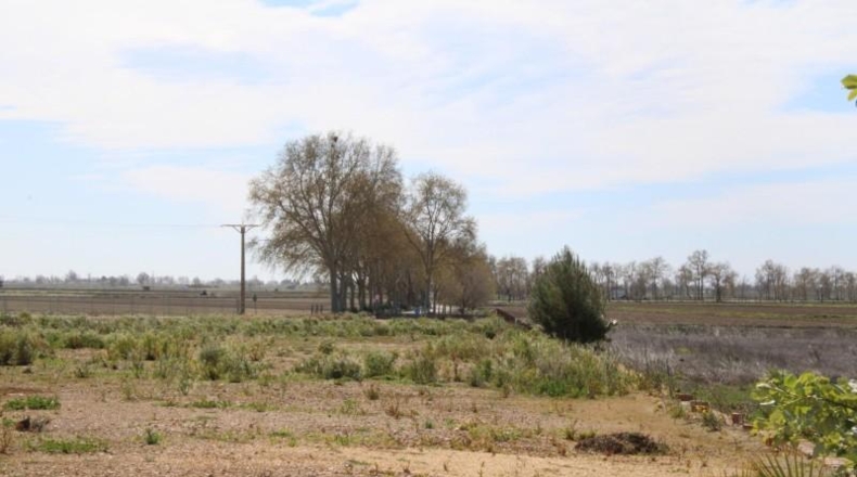 Tarragona - l'Aldea - 12844m2