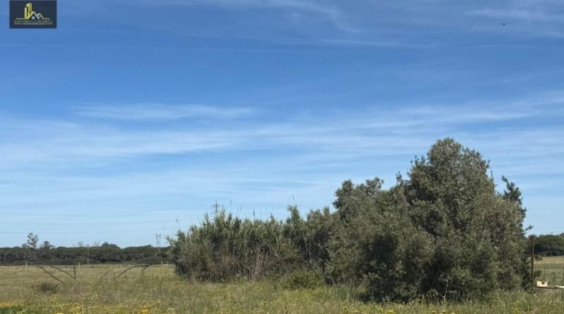 Cádiz - Puerto Real - 2500m2