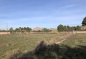 Xalet independent amb terreny en venda a la España, Novelda, ref.: TR274372 foto