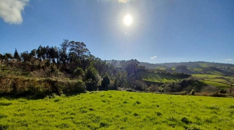Asturias - Villaviciosa - 2396m2