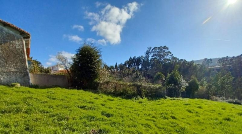 Asturias - Villaviciosa - 2396m2