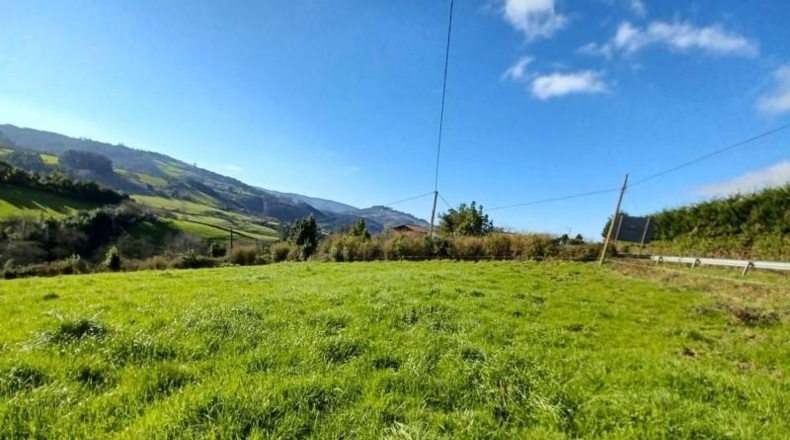 Asturias - Villaviciosa - 2396m2
