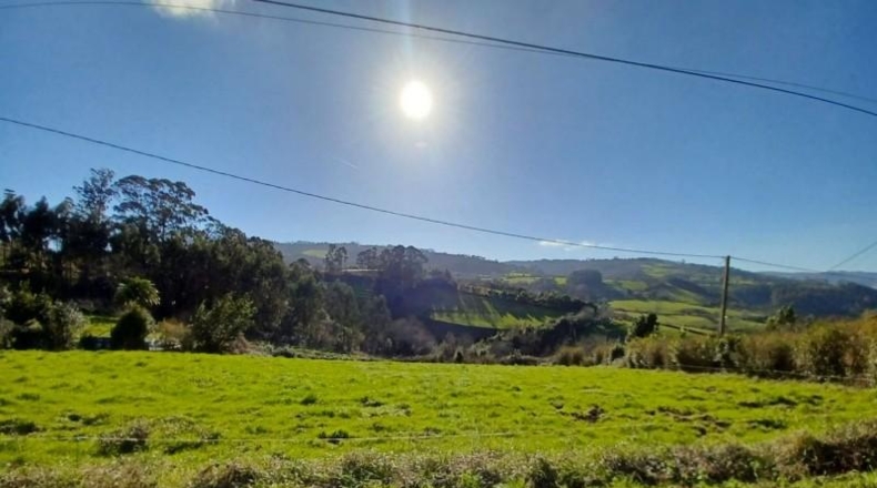 Asturias - Villaviciosa - 2396m2