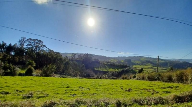 Asturias - Villaviciosa - 2396m2
