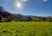 Non-developable land for sale on España, Villaviciosa, ref: TR126915 photo