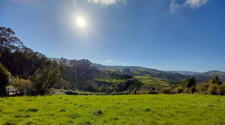 Asturias - Villaviciosa - 2396m2
