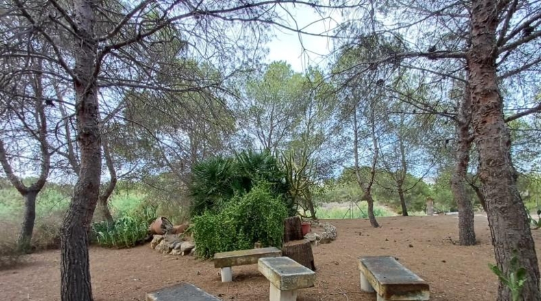 Alicante - Oriola - 5370m2