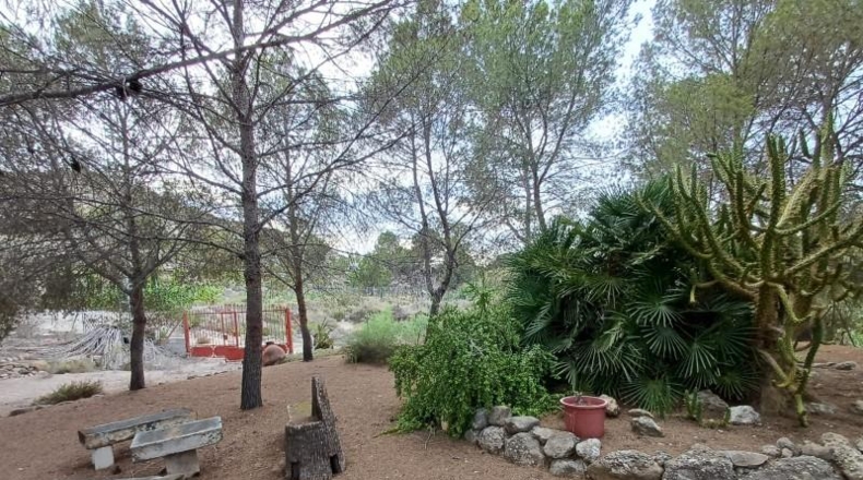 Alicante - Oriola - 5370m2