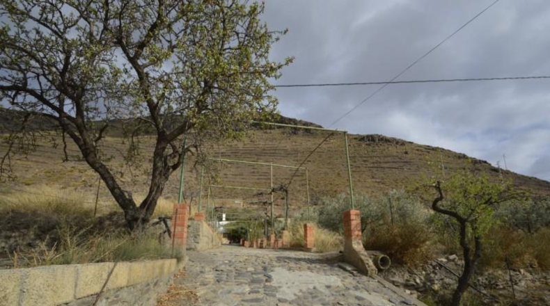 Almería - Gérgal - 9500m2