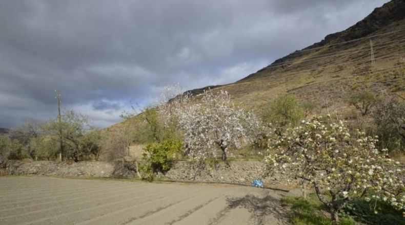 Almería - Gérgal - 9500m2