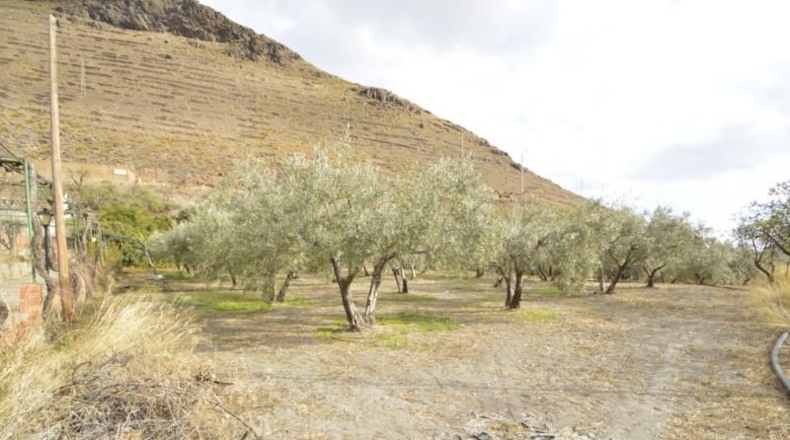 Almería - Gérgal - 9500m2