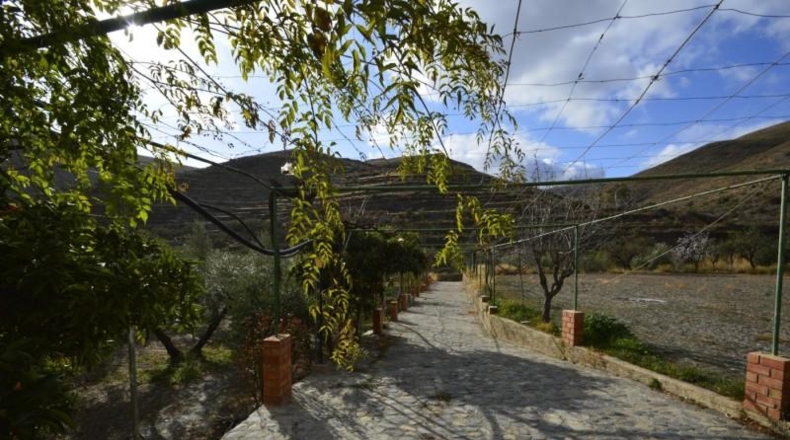 Almería - Gérgal - 9500m2