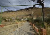 Casa de camp amb terreny en venda a la España, Gérgal, ref.: TR304110 foto