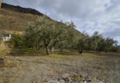 Casa de camp amb terreny en venda a la España, Gérgal, ref.: TR304110 foto