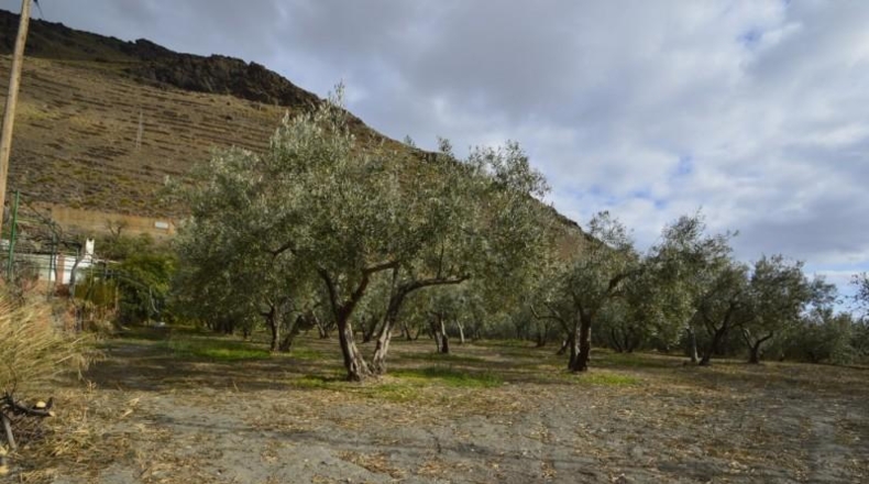 Almería - Gérgal - 9500m2