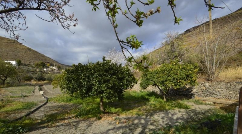 Almería - Gérgal - 9500m2