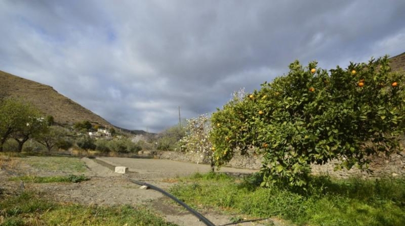 Almería - Gérgal - 9500m2