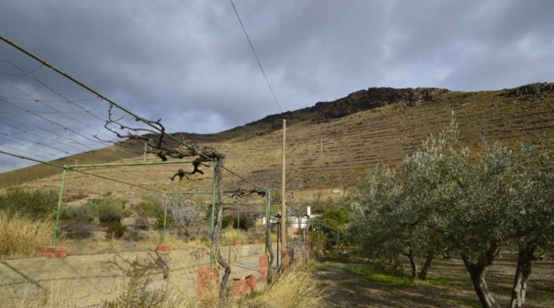 Almería - Gérgal - 9500m2