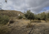 Casa de camp amb terreny en venda a la España, Gérgal, ref.: TR304110 foto