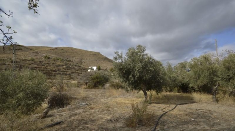 Almería - Gérgal - 9500m2