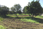 Sòl urbà en venda a la España, Espartinas, ref.: TR130487 foto