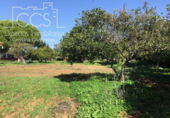 Sòl urbà en venda a la España, Espartinas, ref.: TR130487 foto