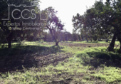 Sòl urbà en venda a la España, Espartinas, ref.: TR130487 foto