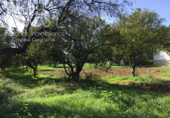 Sòl urbà en venda a la España, Espartinas, ref.: TR130487 foto