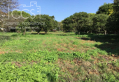 Sòl urbà en venda a la España, Espartinas, ref.: TR130487 foto