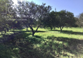 Sòl urbà en venda a la España, Espartinas, ref.: TR130487 foto