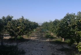 Albaida 33000&nbsp;m²