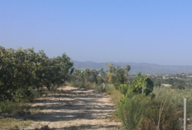 Albaida 33000&nbsp;m²