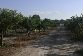 Albaida 33000&nbsp;m²