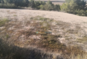 Albaida 33000&nbsp;m²