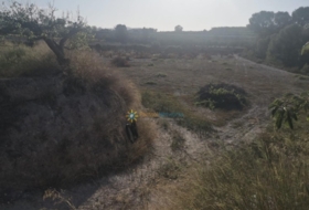 Albaida 33000&nbsp;m²