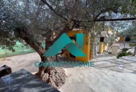 Torremocha 9000&nbsp;m² 