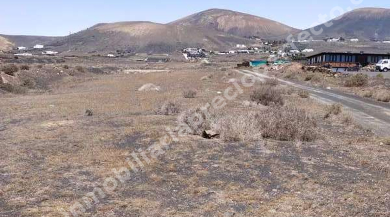 Las Palmas - Tías - 10446m2