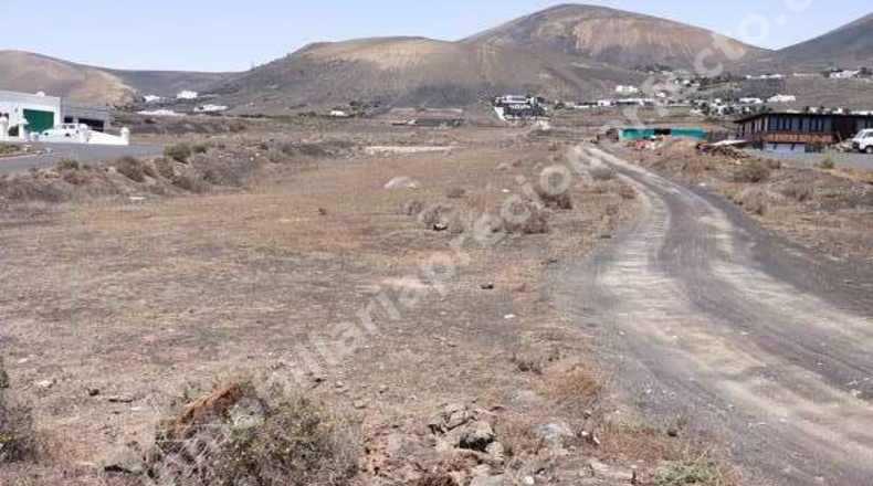 Las Palmas - Tías - 10446m2