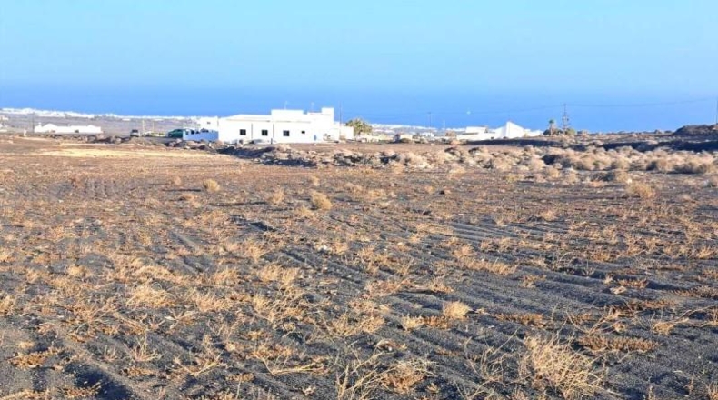 Las Palmas - Tías - 10446m2